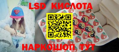 гидропоника Краснодар